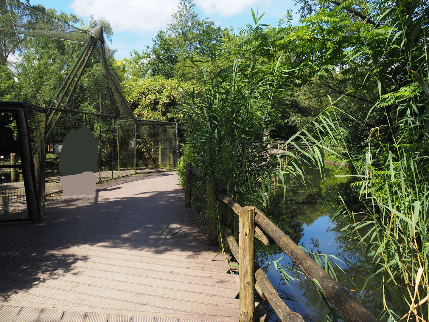 Boardwalk and crane aviary in the Asian swamp area, 2024-06-30