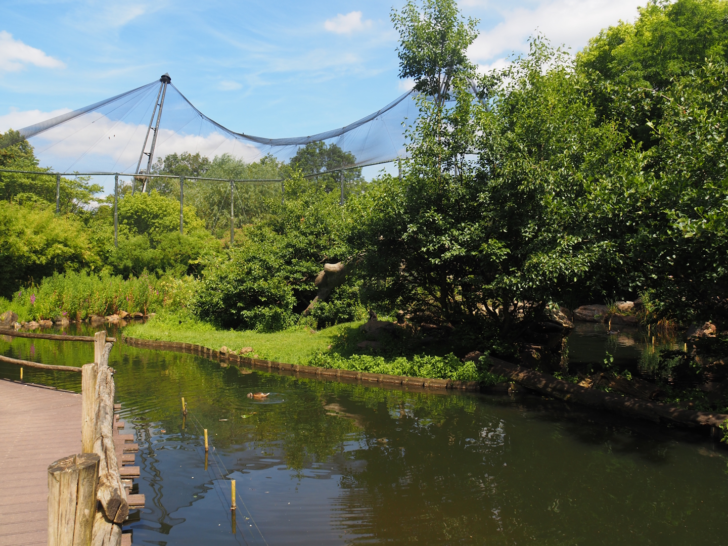 Boardwalk and Sulawesi crested macaque island in the Asian swamp area, 2024-06-30