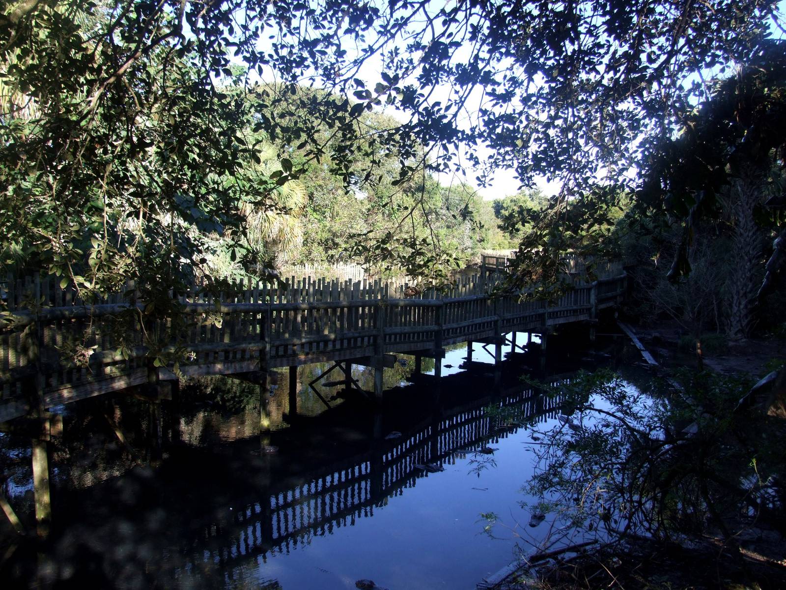 Boardwalk Area at St. Augustine, 11/10/13