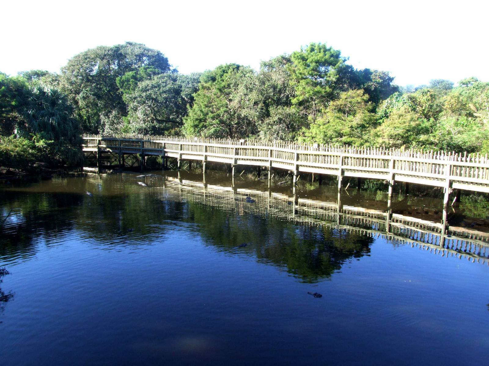 Boardwalk Area at St. Augustine, 11/10/13