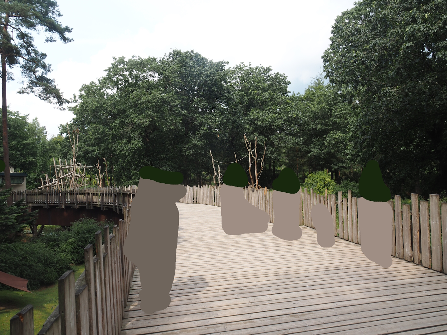 Boardwalk between Capybara and Colombian black spider monkey exhibit and Bonobo island, Colombian black spider monkey and Capybara exhibit, 2024-08-18