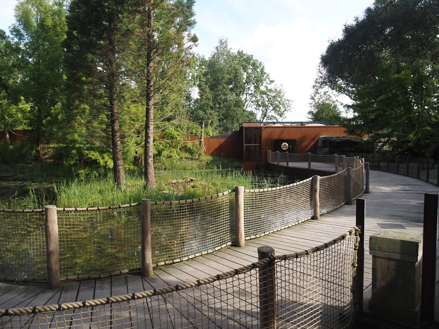 Boardwalk between the Bush dog exhibit and the Future Black-and-gold howler monkey and Pied tamarin exhibit, 2024-08-21