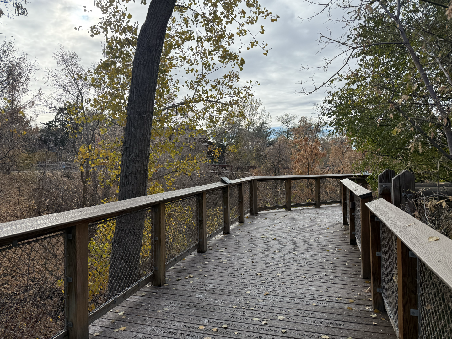 Boardwalk - Creekside