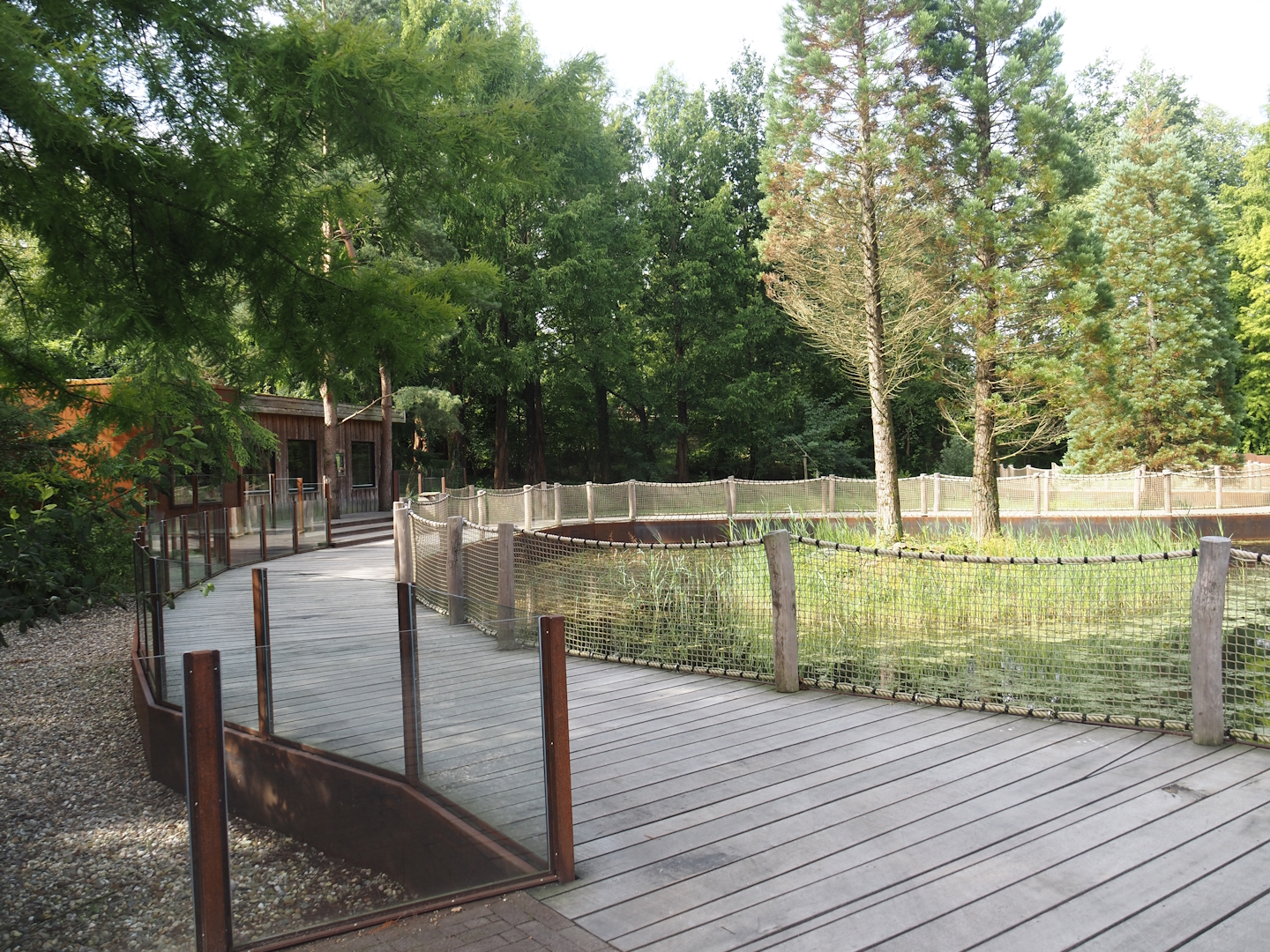 Boardwalk in area with Bush dog exhibit and future Black-and-gold howler monkey and Pied tamarin exhibit, 2024-08-21
