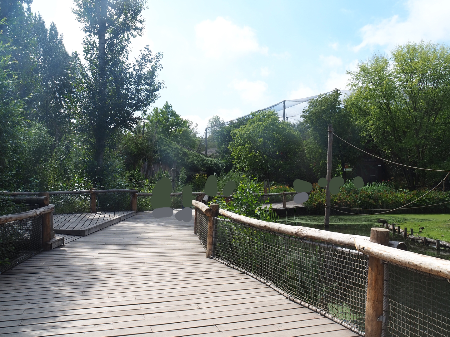 Boardwalk in South American primate and capybara area, 2022-08-20