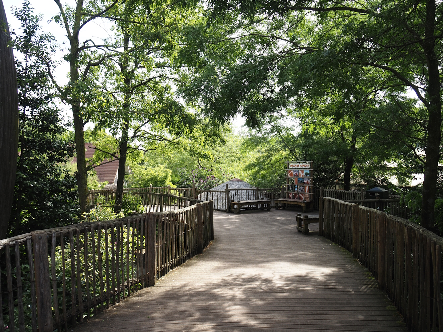 Boardwalk in the savanna area, 2024-06-30