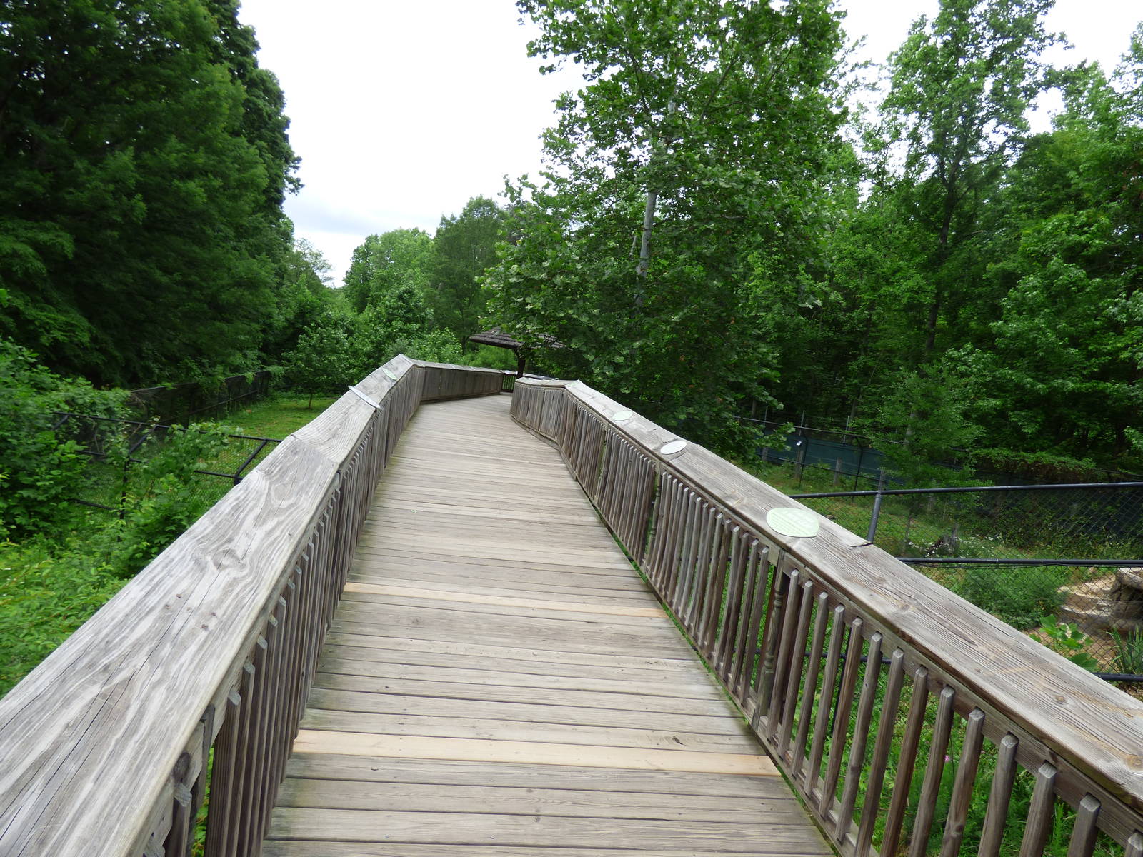Boardwalk into Manned Wolf/Giant Anteater Exhibit
