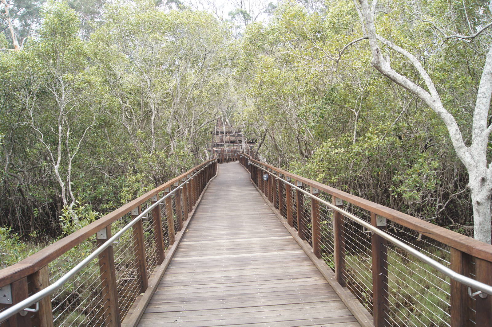 Boardwalk leading to entrance