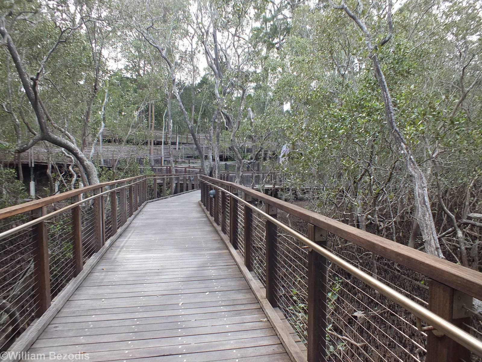 Boardwalk Leading to Entrance