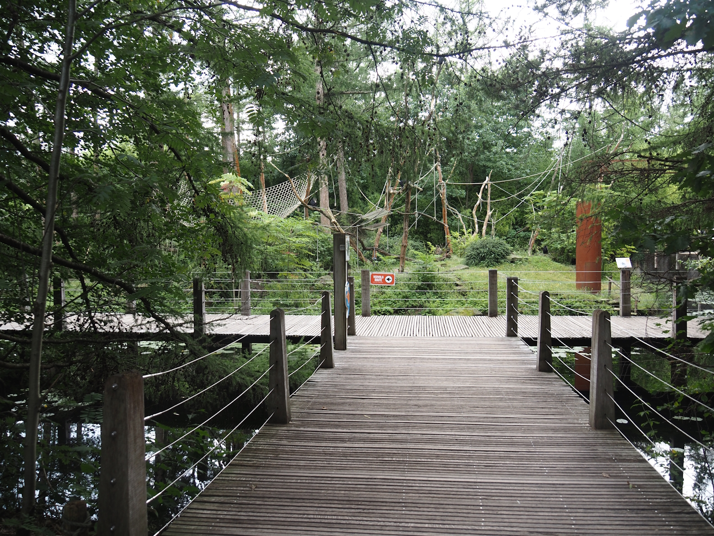 Boardwalk near the Lion-tailed macaque island, 2024-08-18