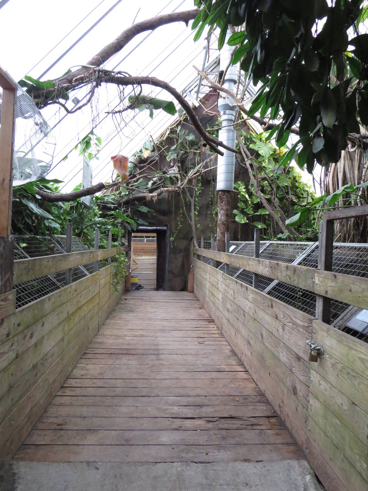 Boardwalk over alligator enclosures, June 2015.