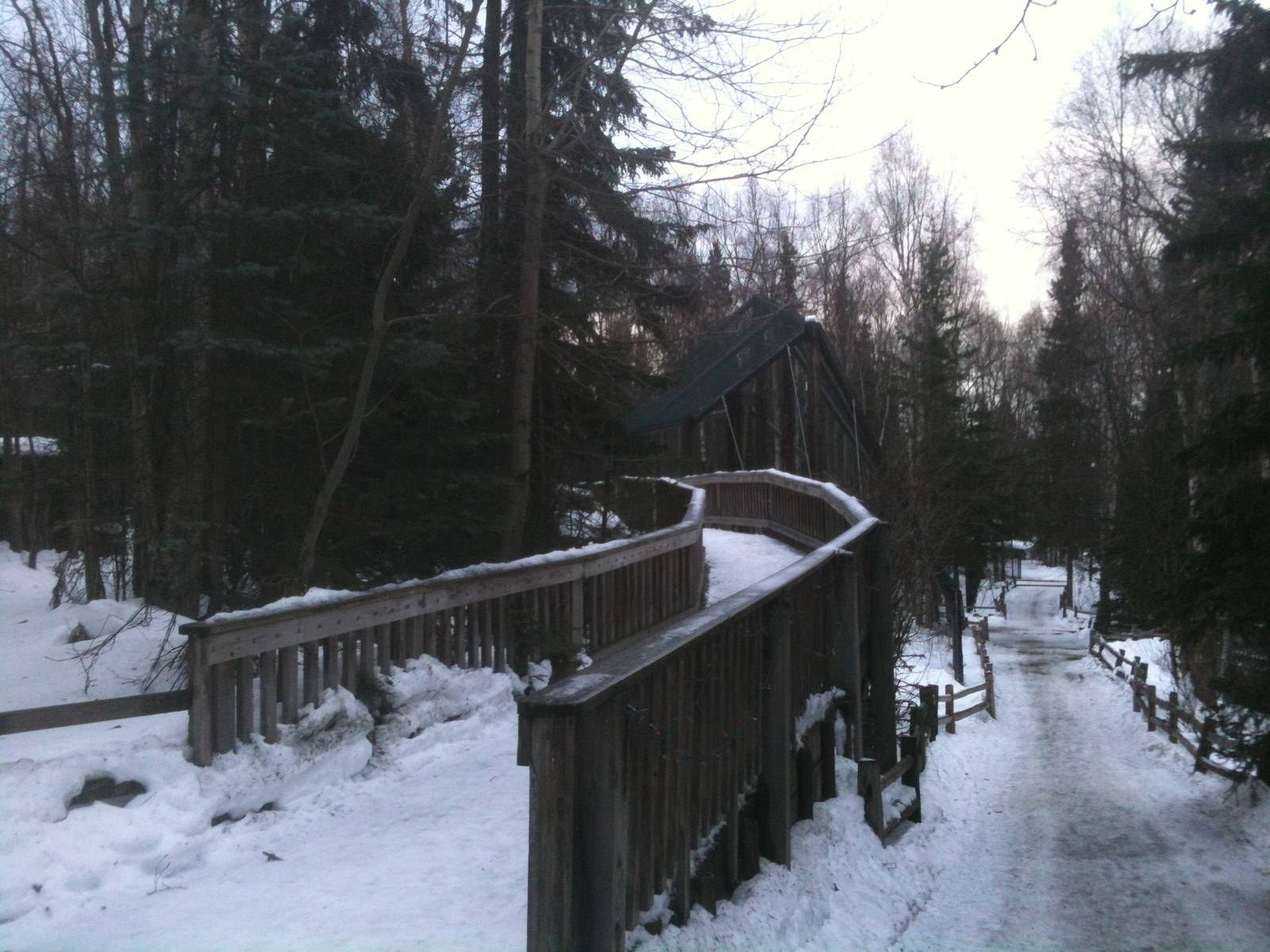 Boardwalk over American Black Bear and Bald Eagle Exhibits.