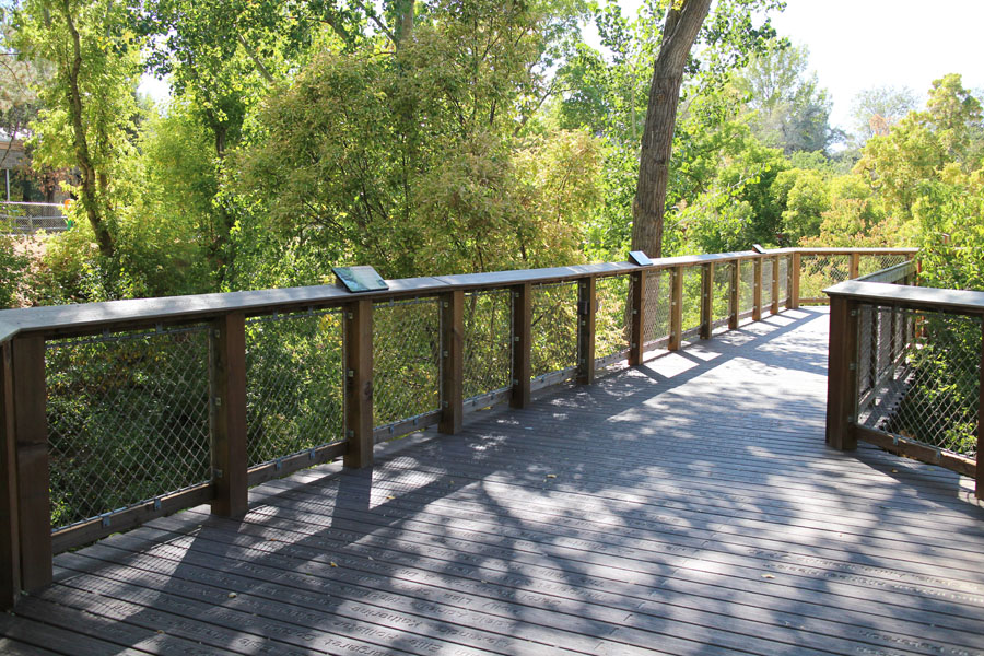 boardwalk over Emigration Creek
