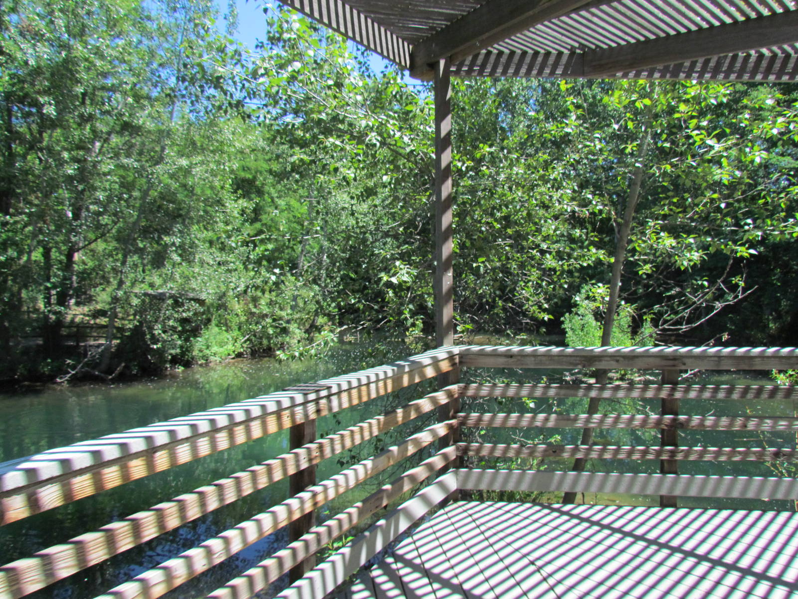 Boardwalk over Main Pond