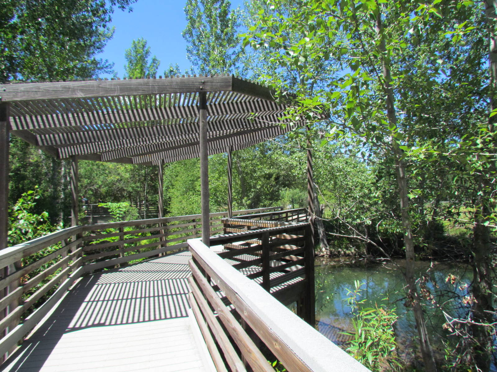 Boardwalk over Main Pond