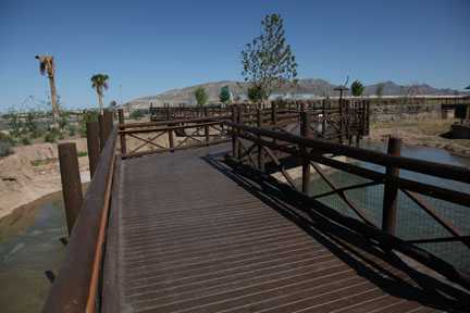 boardwalk over savanna