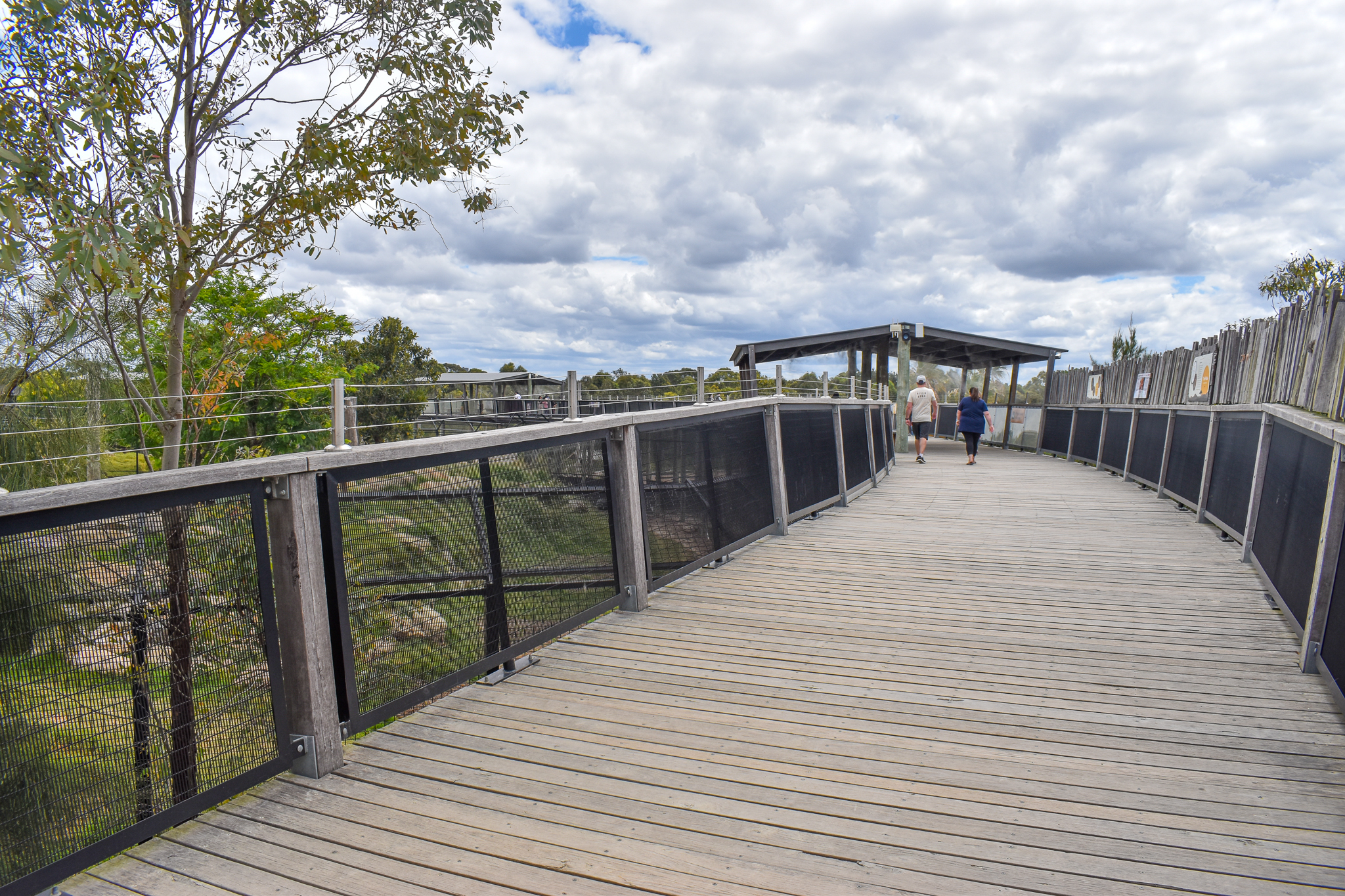 Boardwalk through Africa
