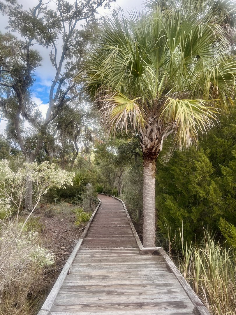 Boardwalk through the park
