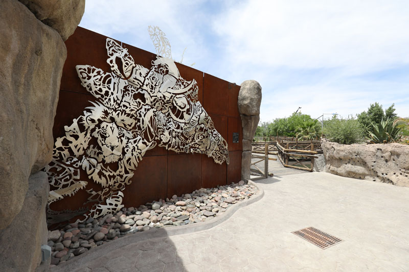 boardwalk to African savanna