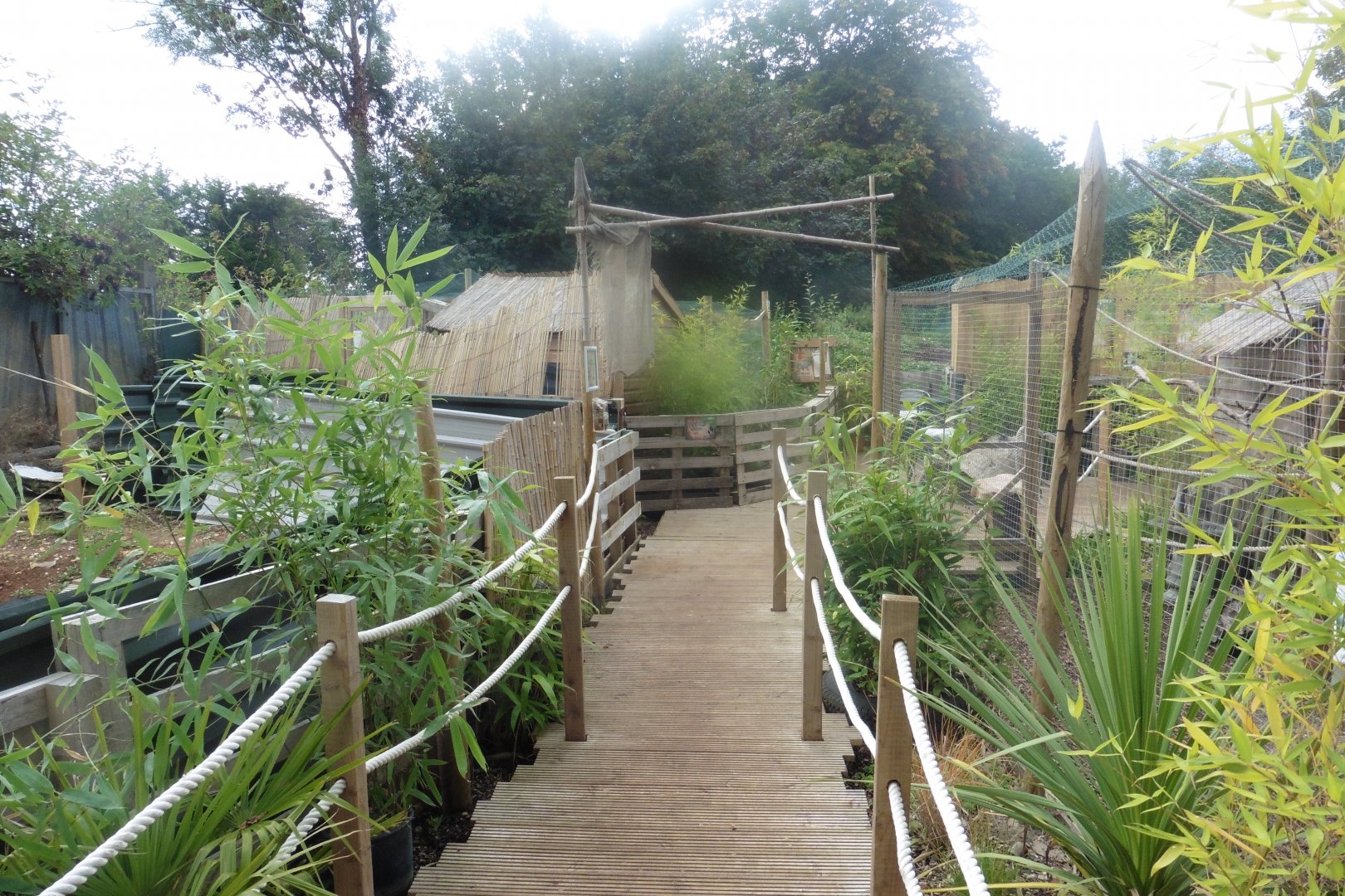Boardwalk to small carnivores