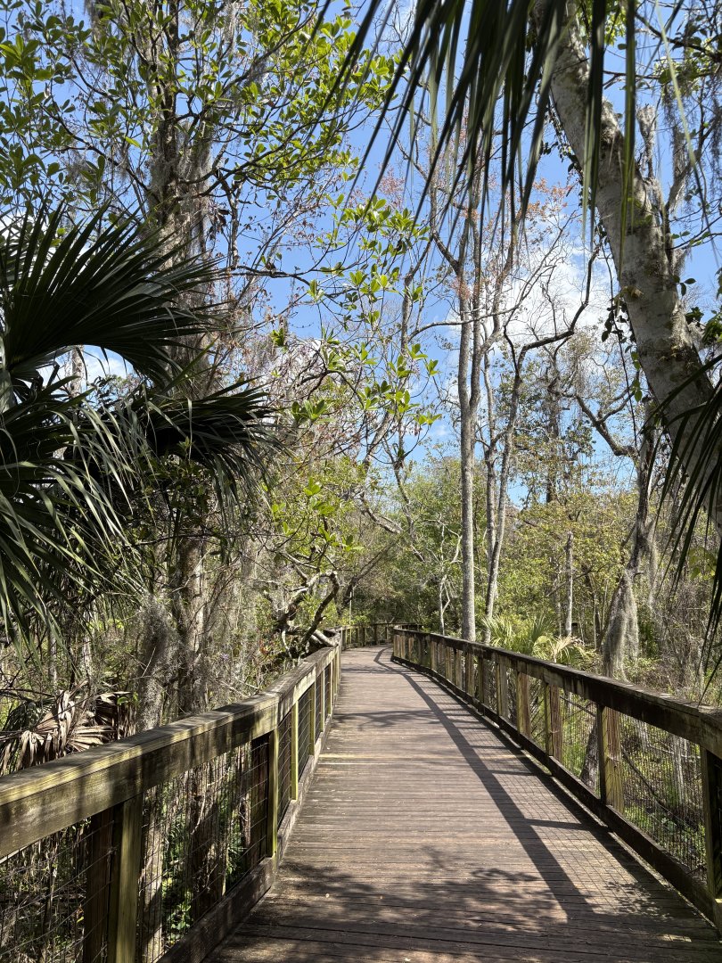 Boardwalk Trail