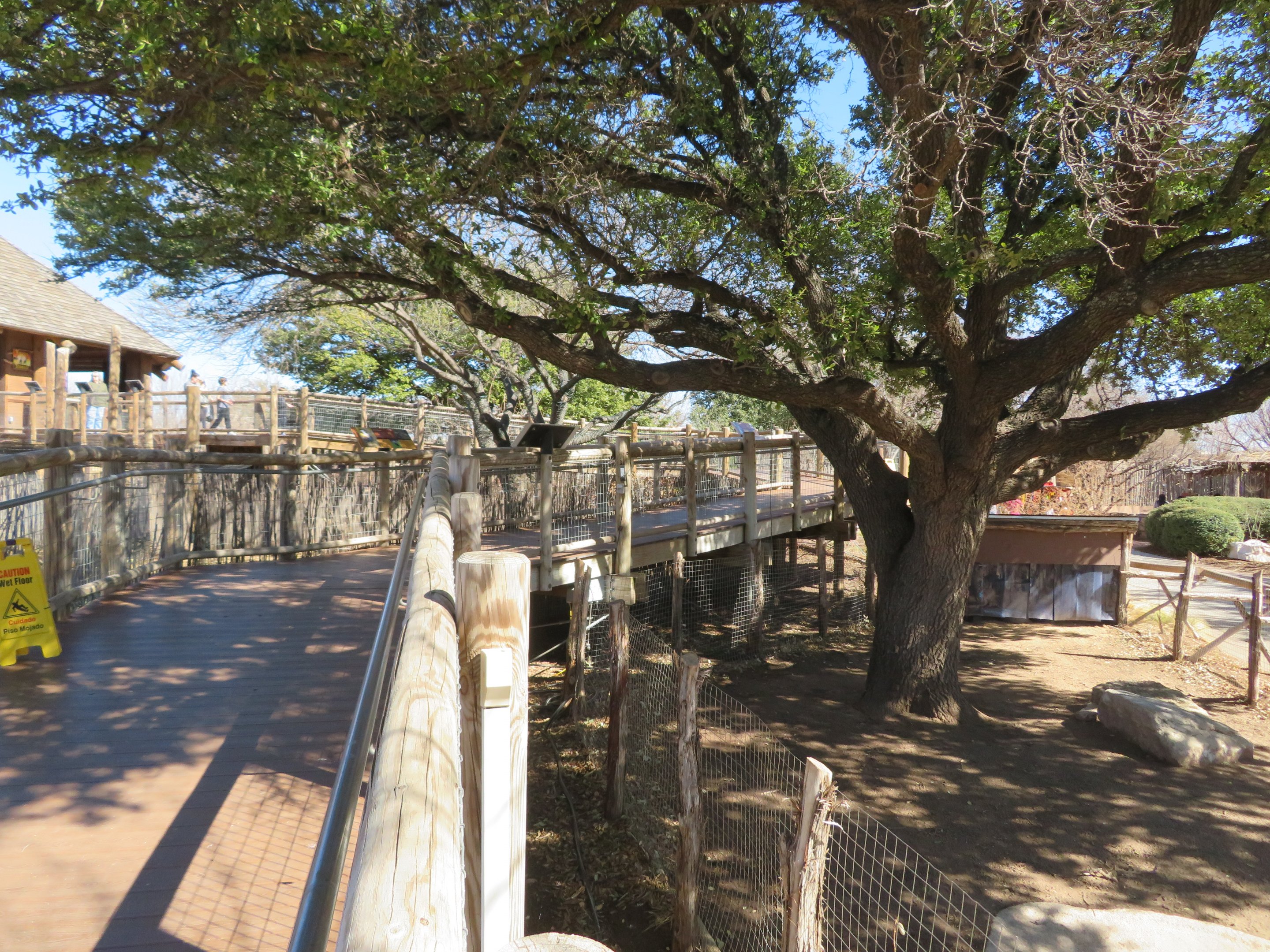 Boardwalk up to Giraffe Platform