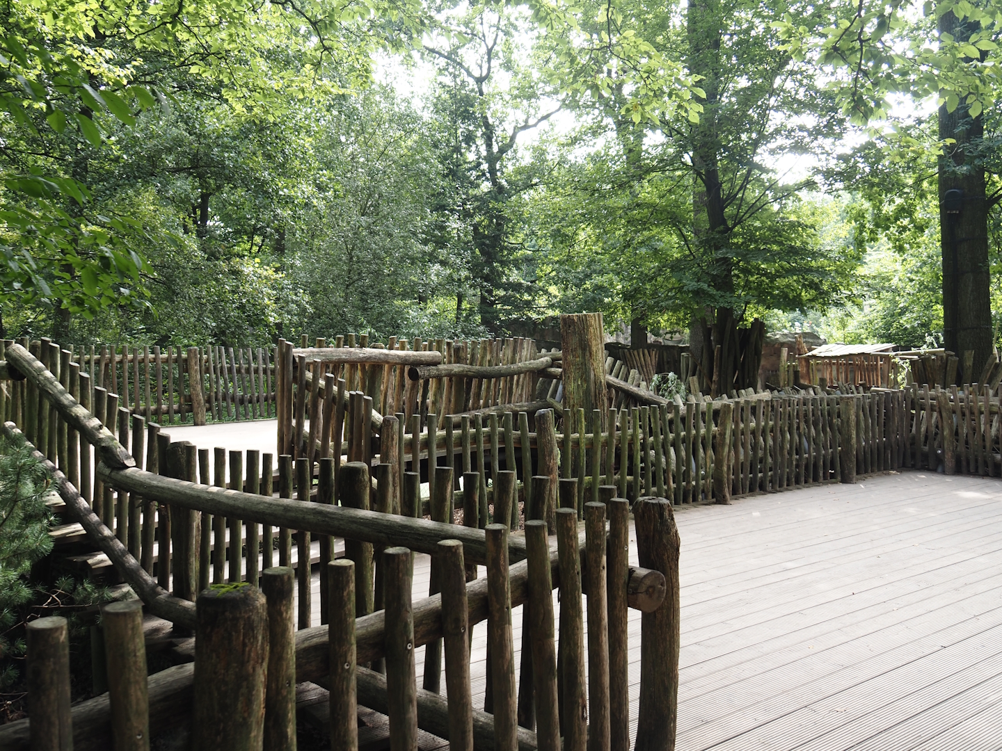 Boardwalk with viewing of Eurasian moose exhibit, 2024-08-05