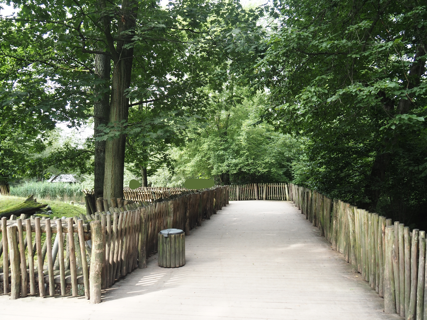 Boardwalk with viewing of Eurasian moose exhibit, 2024-08-05