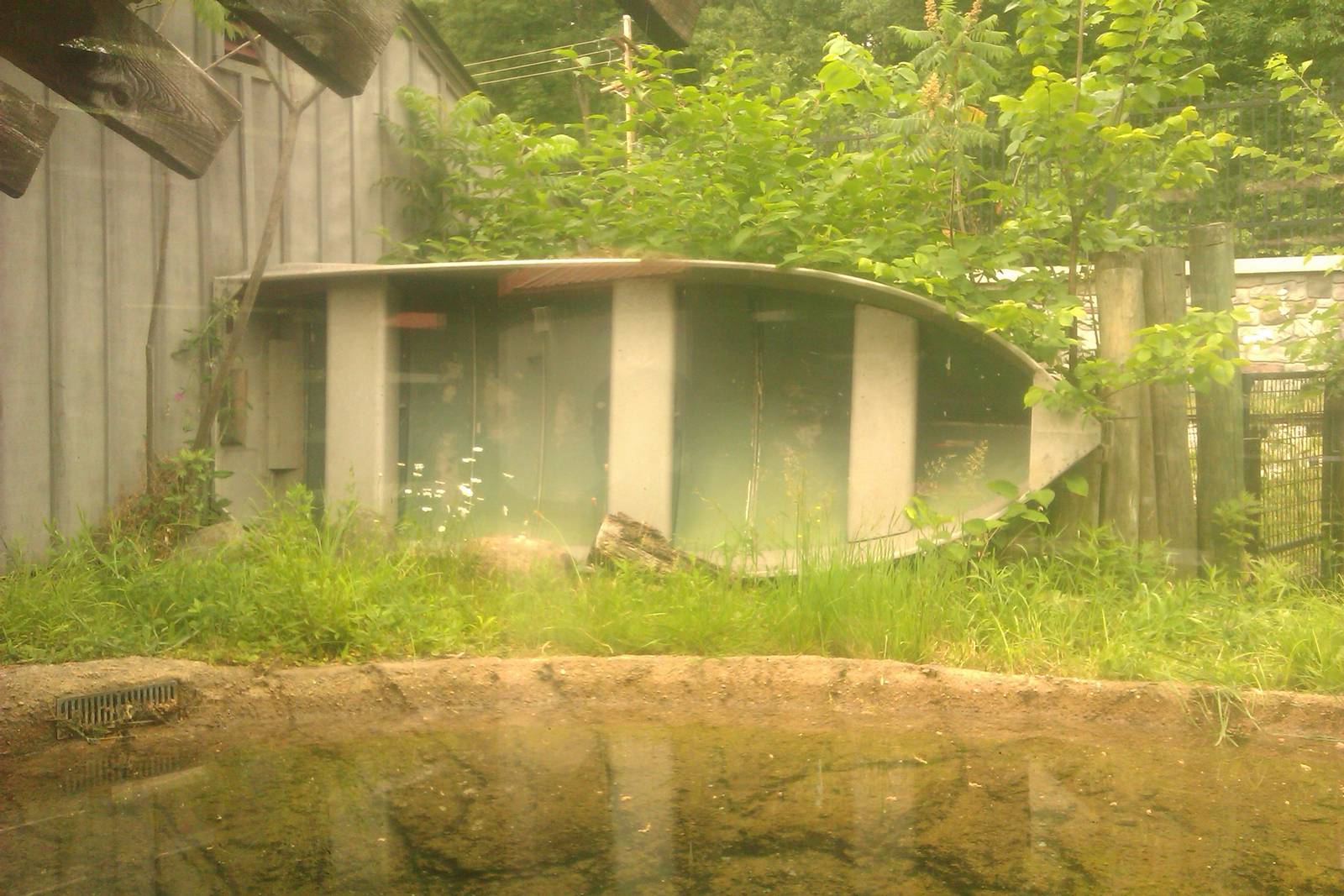 Boat in American Alligator Exhibit