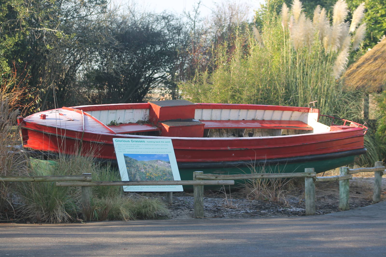 Boat in Glorious Grasses Garden Chester Zoo 29th November 2012
