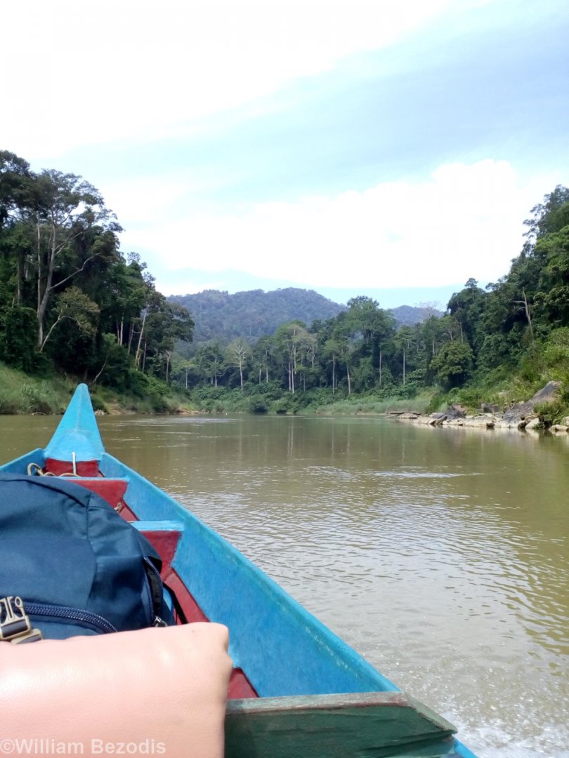 Boat Into the Forest - Taman Negara