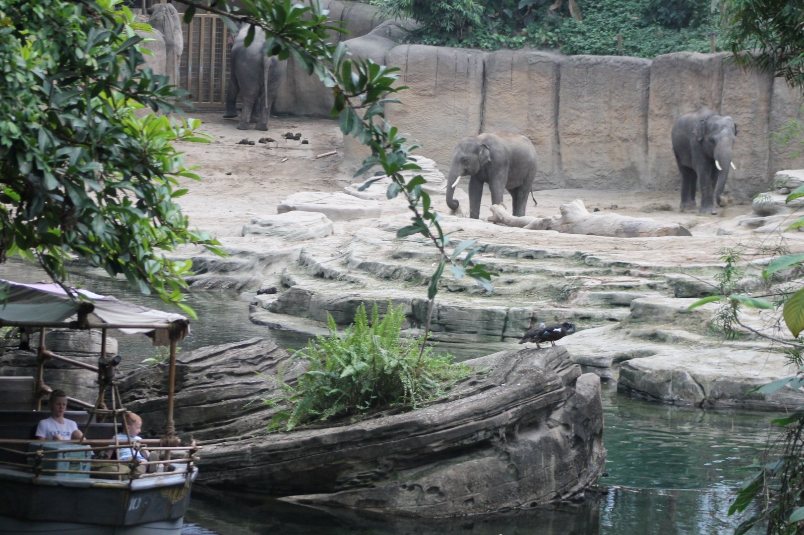 Boat-ride along Elephant indoor-enclosure