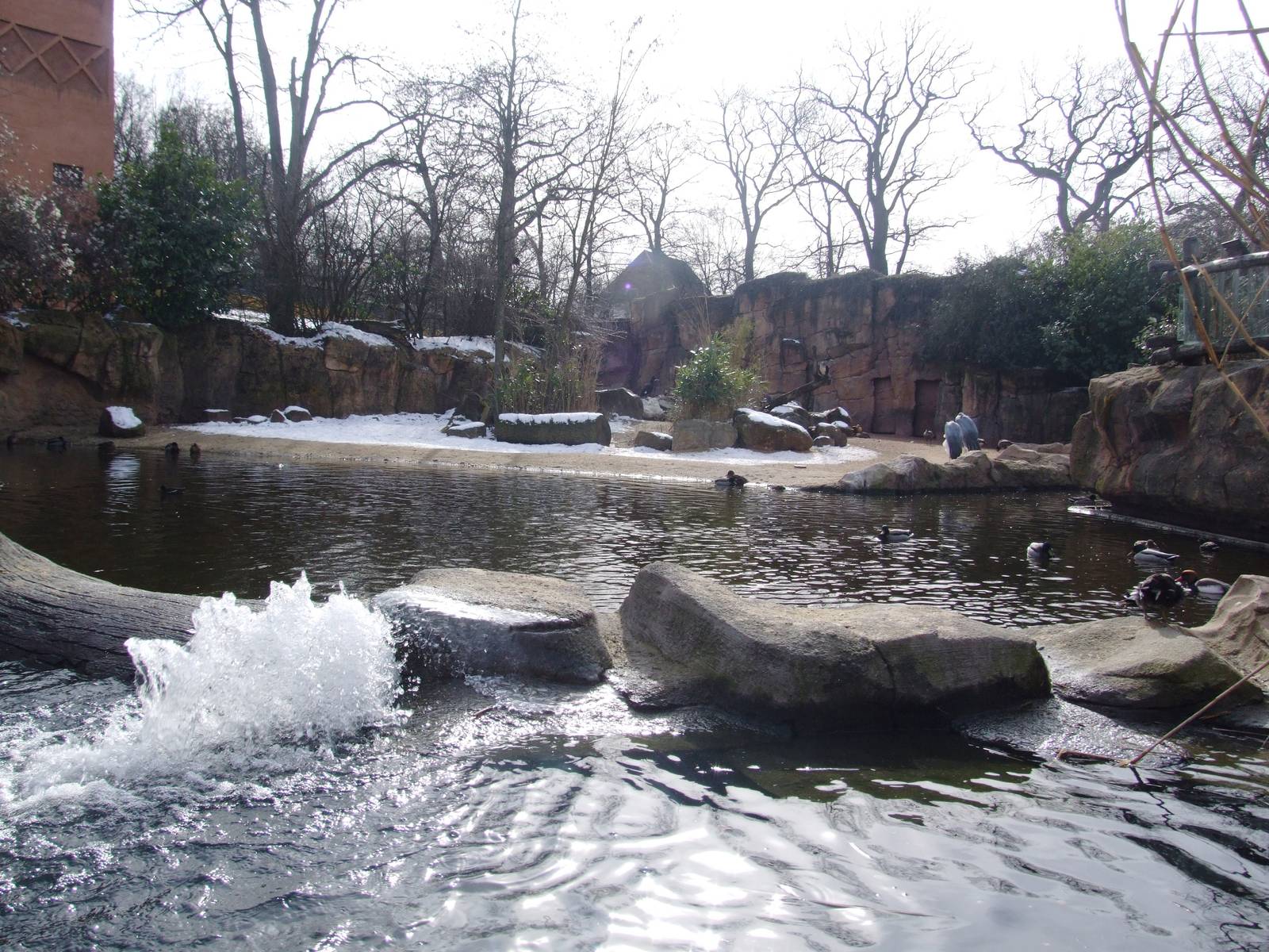 Boat Ride Hippo Viewing at Hannover, 23/03/13