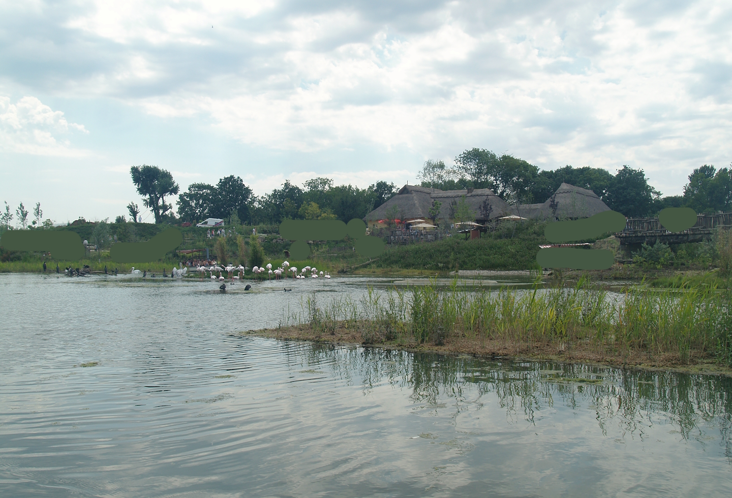 Boat safari - Area with pelicans, flamingos and cormorants (Now gone), 2007-07-15