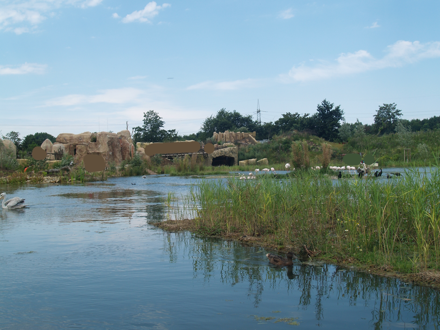 Boat safari - Area with pelicans, flamingos and cormorants (Now gone), 2007-07-15