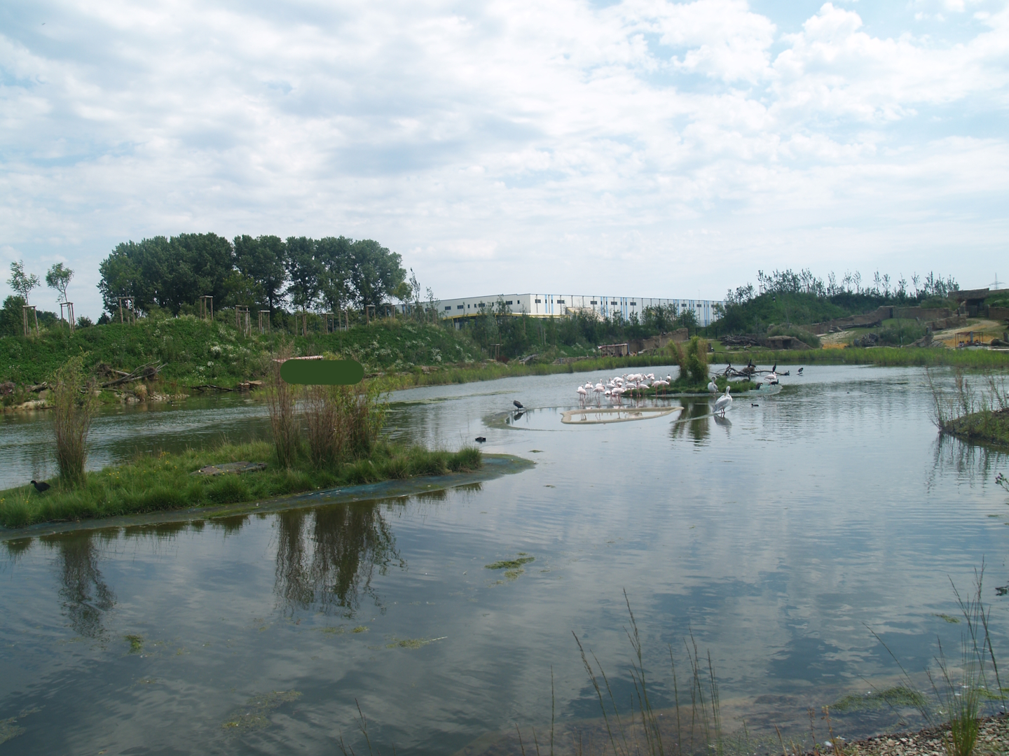 Boat safari - Area with pelicans, flamingos and cormorants (Now gone), 2007-07-15