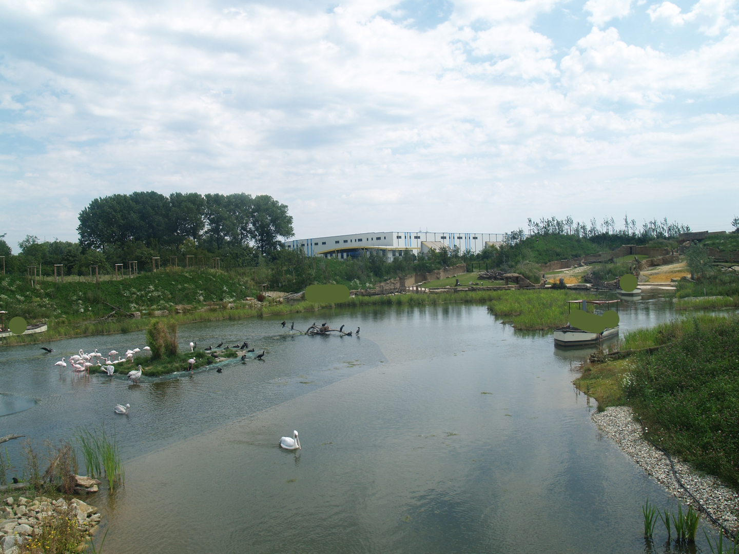 Boat safari - Area with pelicans, flamingos and cormorants (Now gone), 2007-07-15