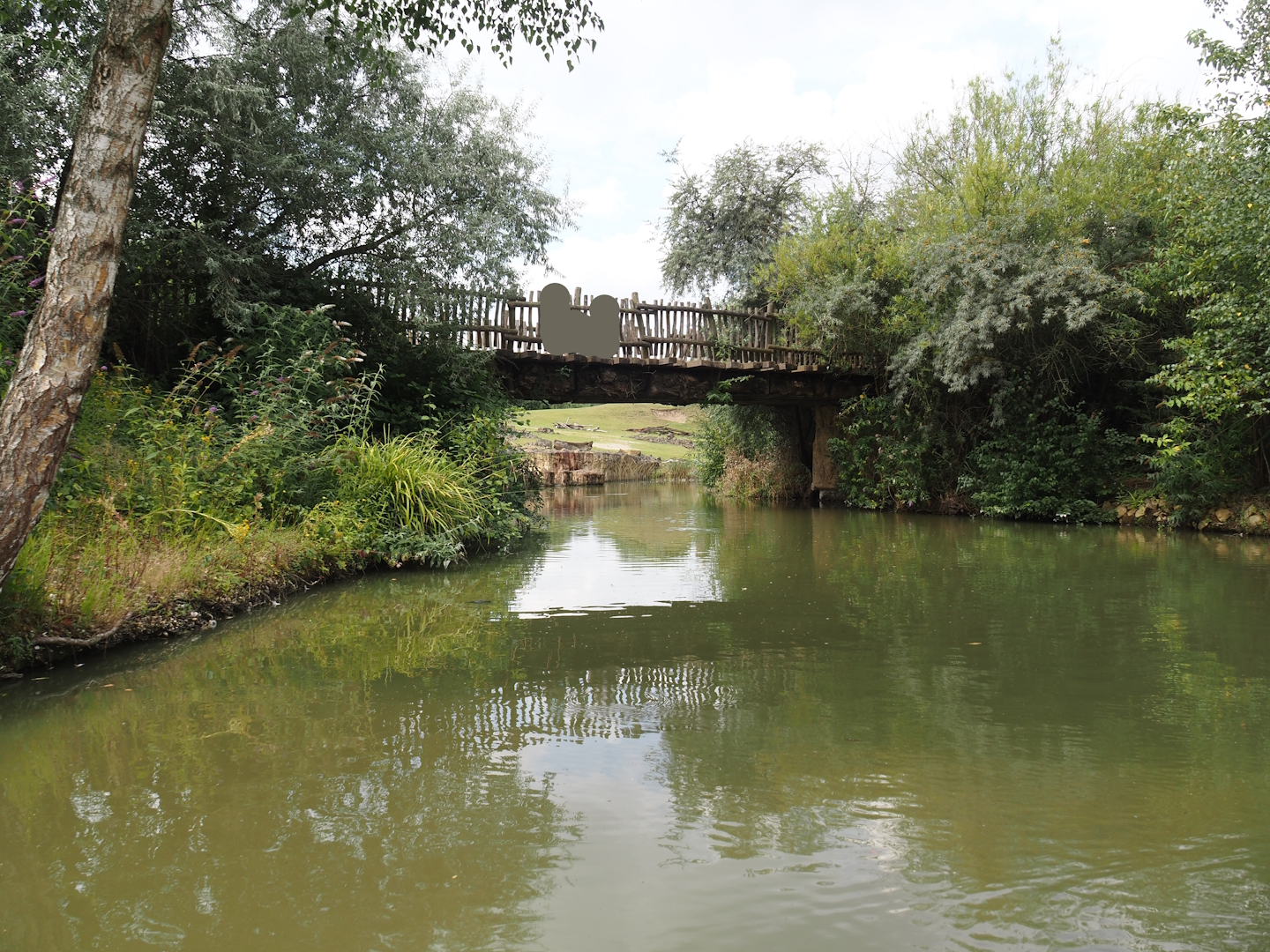 Boat Safari - Bridge, 2024-08-05