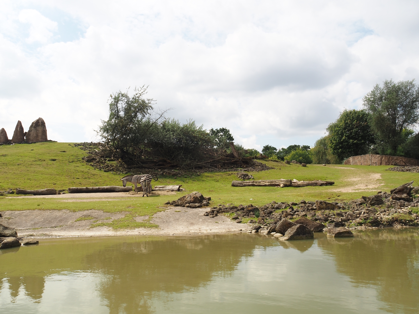 Boat Safari - Grass savanna exhibit, 2024-08-05