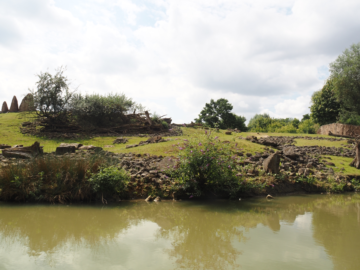 Boat Safari - Grass savanna exhibit, 2024-08-05