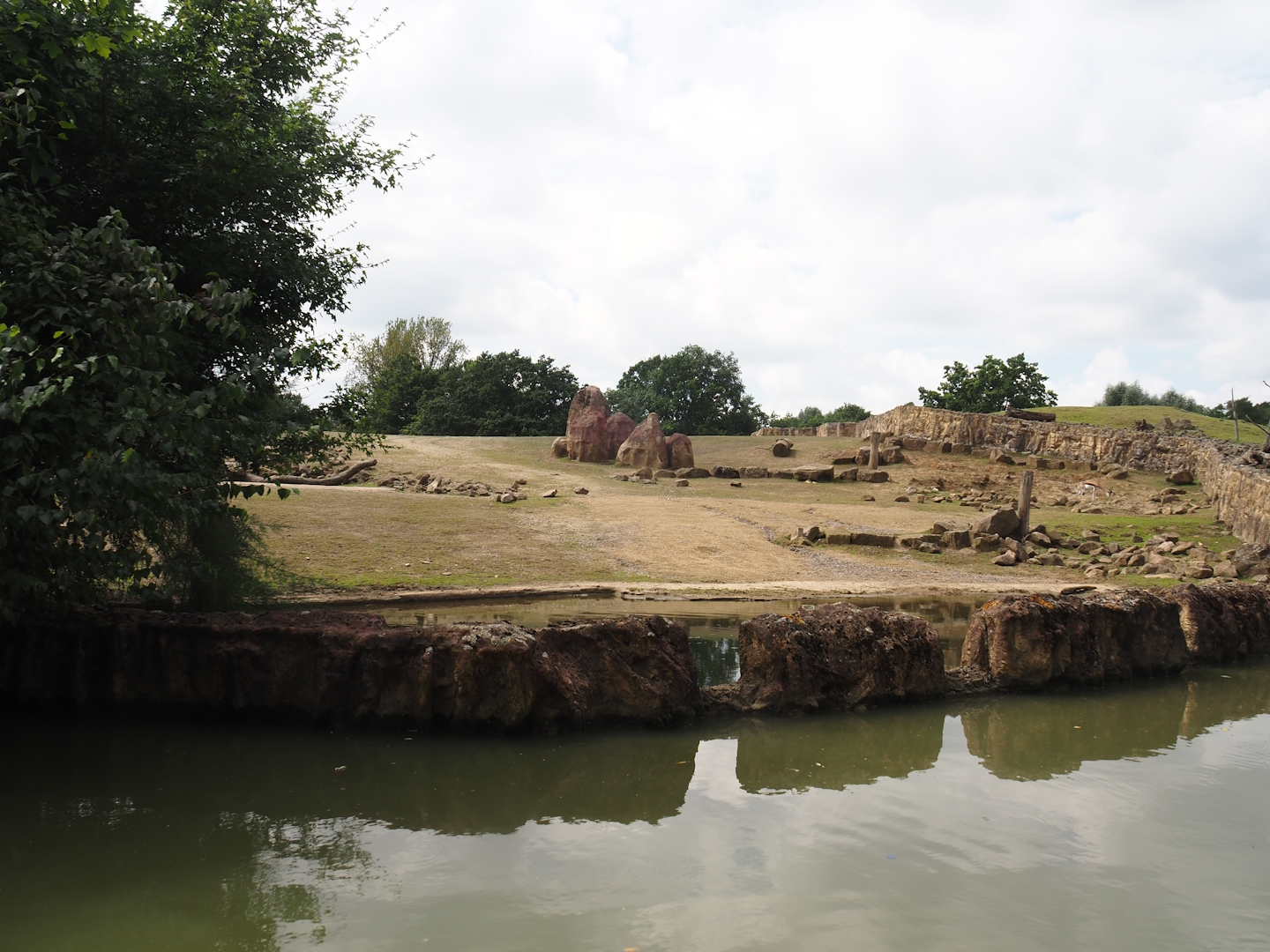 Boat Safari - Grass savanna exhibit - Southern white rhinoceros exhibit, 2024-08-05