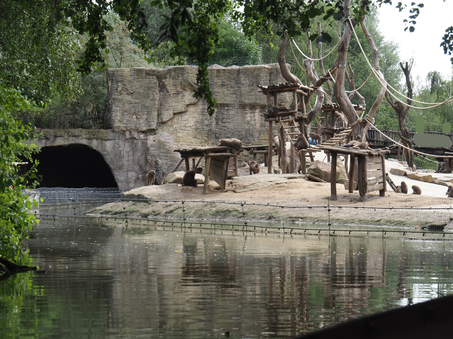 Boat Safari - Olive baboon island, 2024-08-05