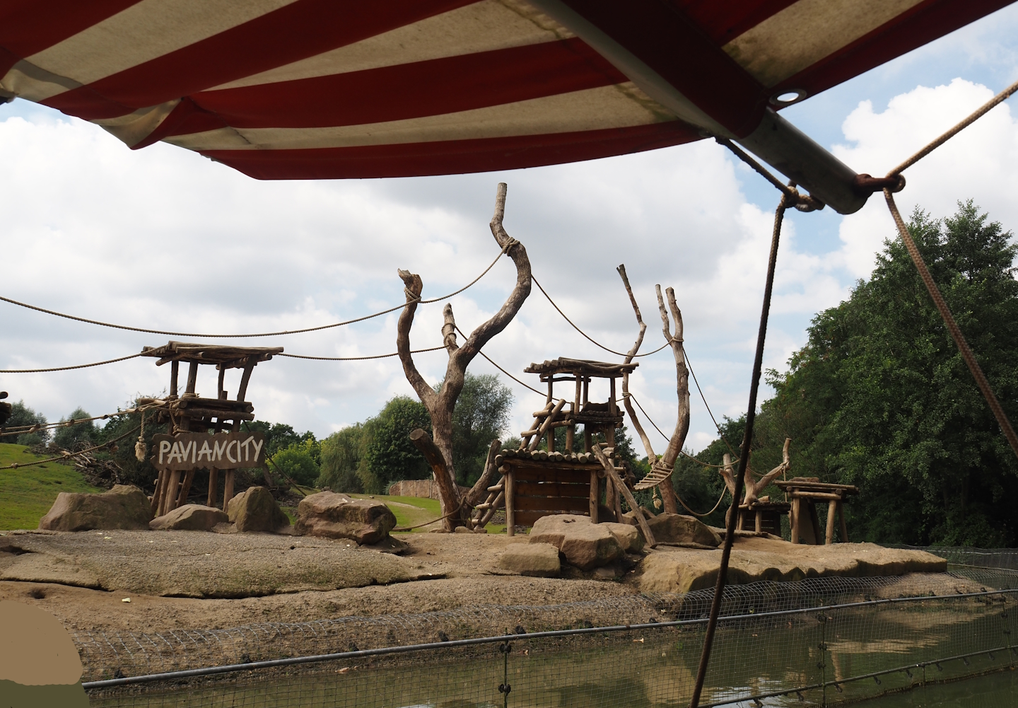 Boat Safari - Olive baboon island, 2024-08-05