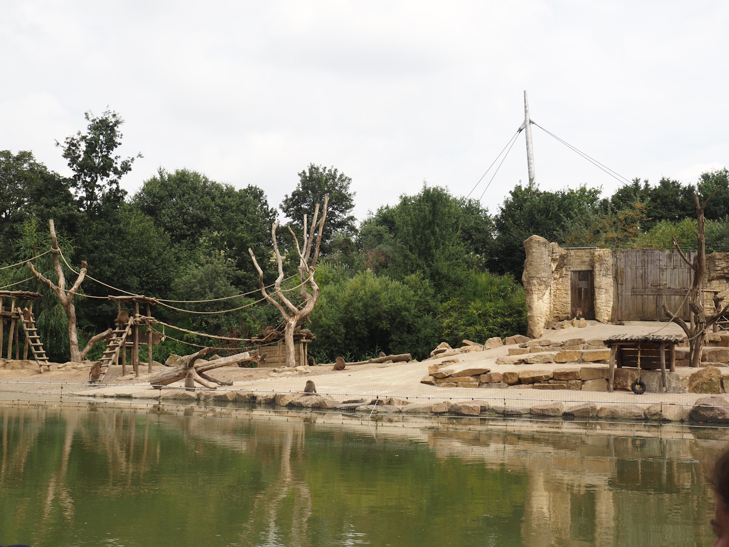 Boat Safari - Olive baboon island, 2024-08-05