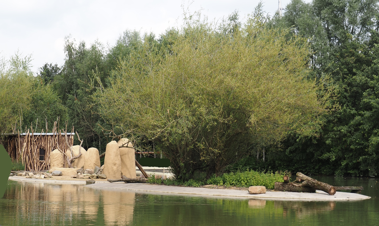 Boat Safari - Rock hyrax exhibit, 2024-08-05