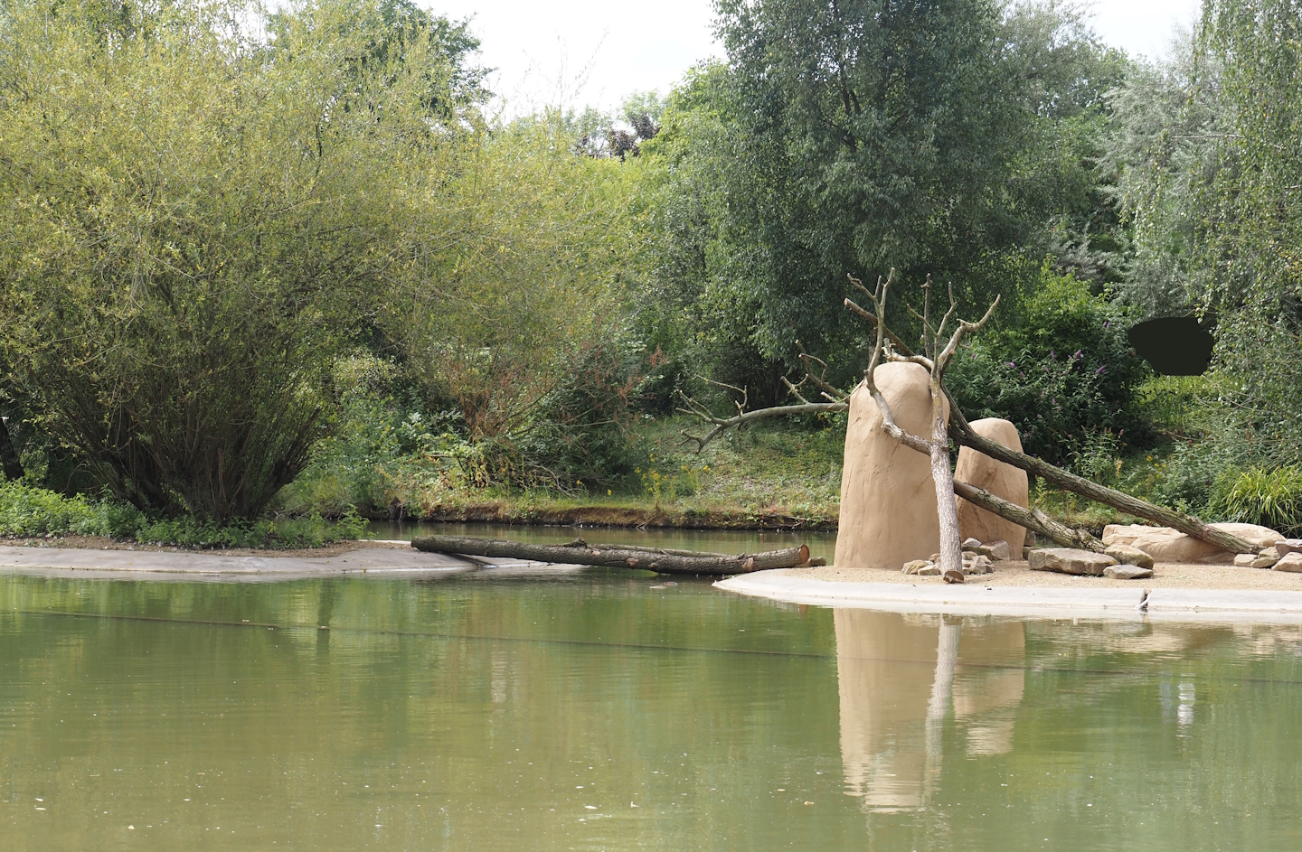 Boat Safari - Rock hyrax island, 2024-08-05
