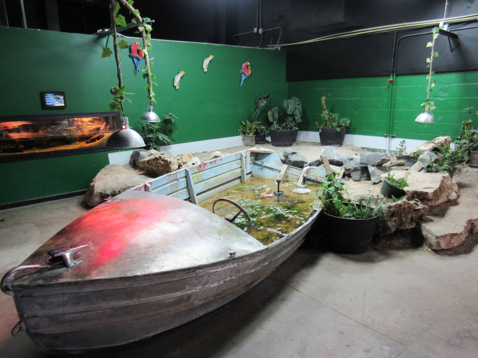 Boat Tank/Caiman Exhibit/Tortoise Exhibit/Junk
