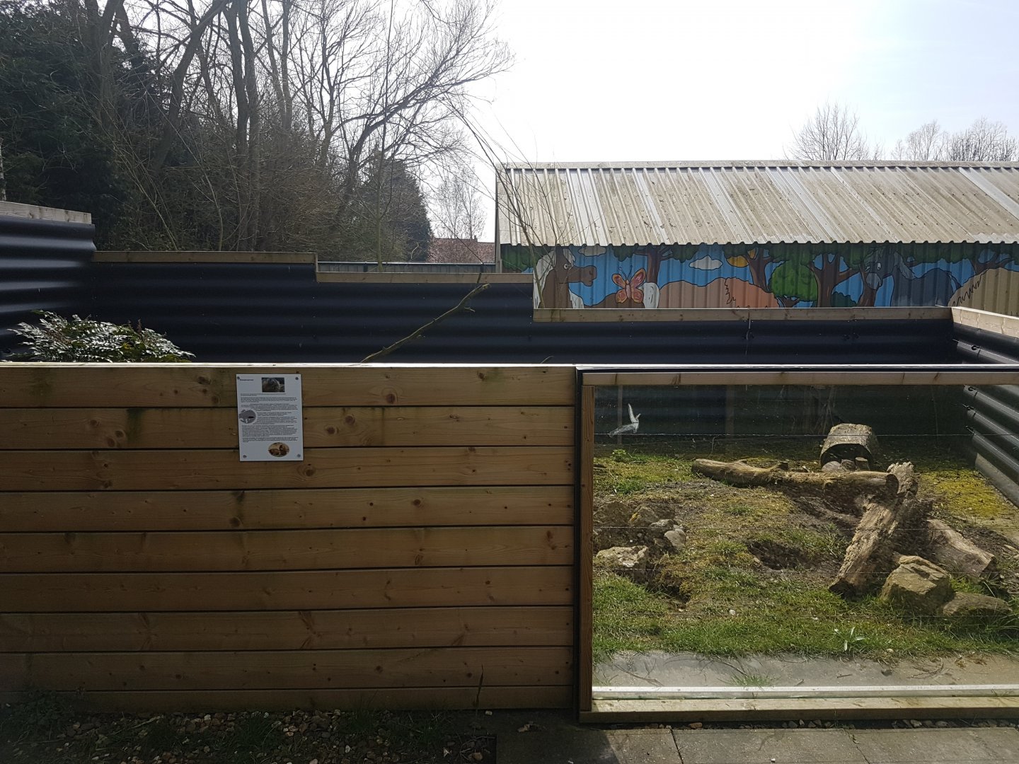 Bobak marmot-enclosure