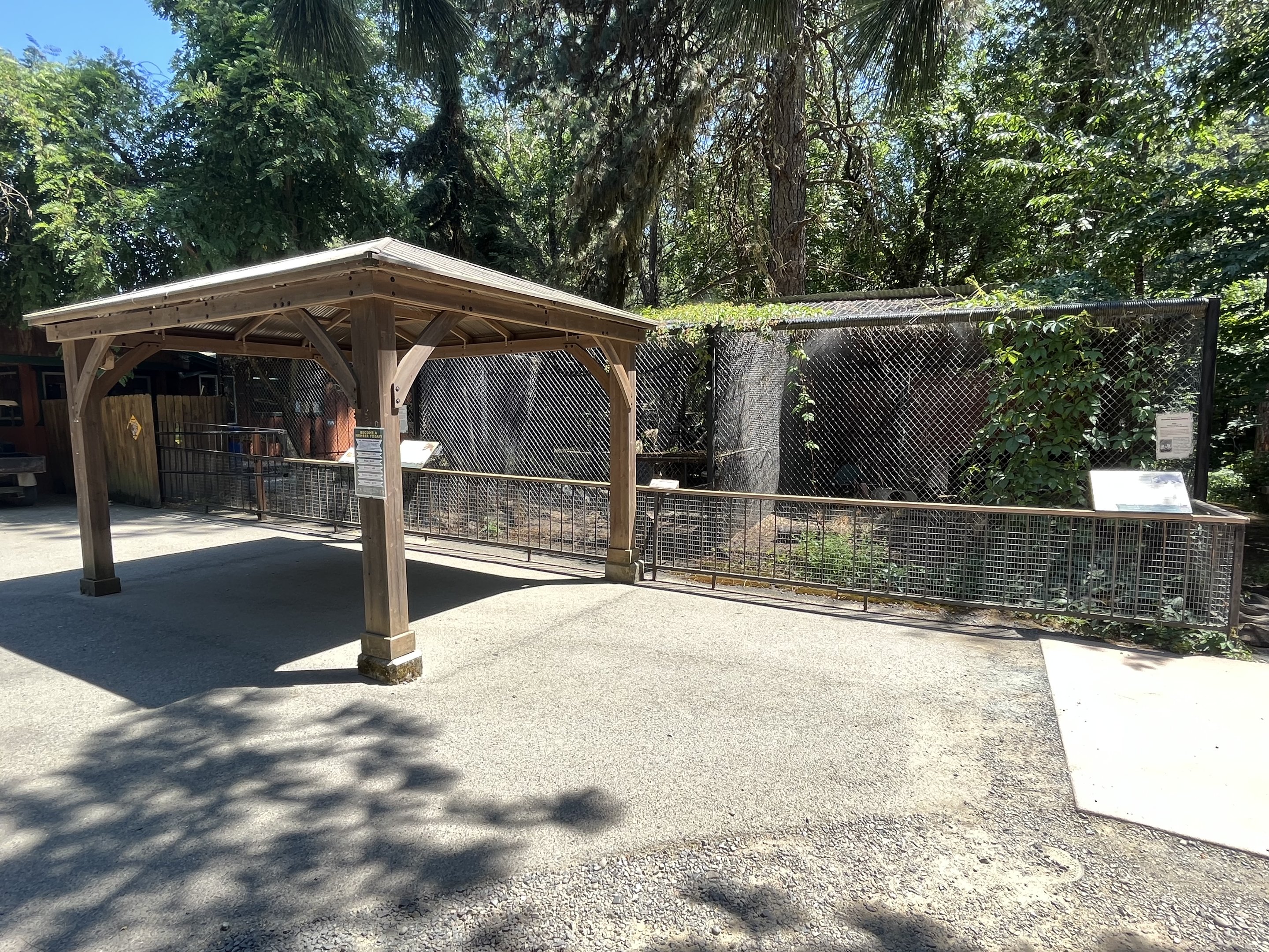 Bobcat + American Badger Exhibits