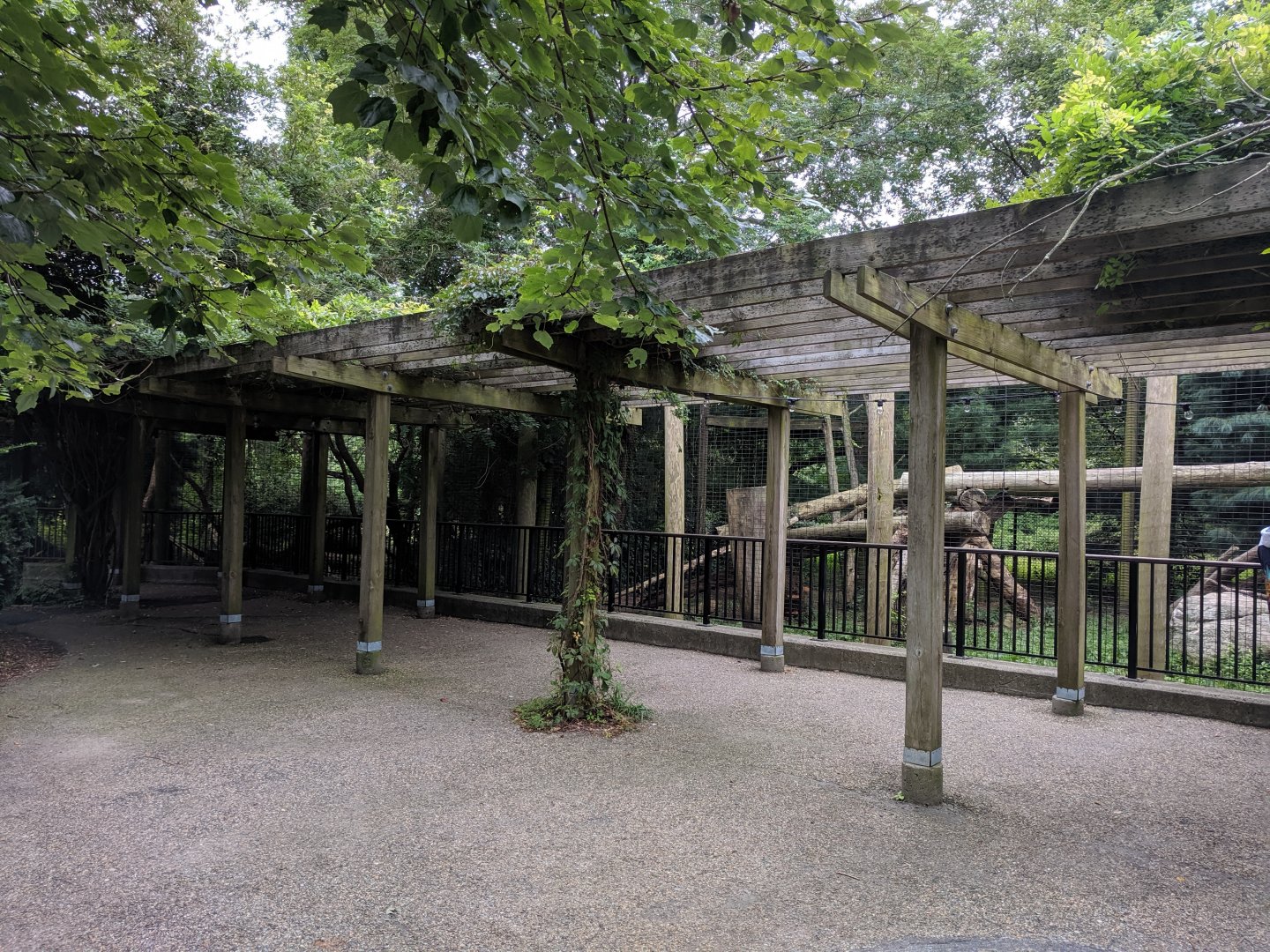 Bobcat and Cougar Exhibits